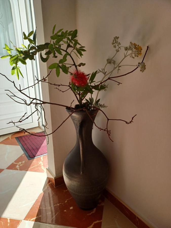 Apartmani Ivic Paka Rab Banjol Buitenkant foto